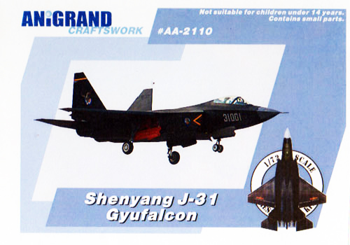 Shenyang J-31 Gyrfalcon - Anigrand Box Art