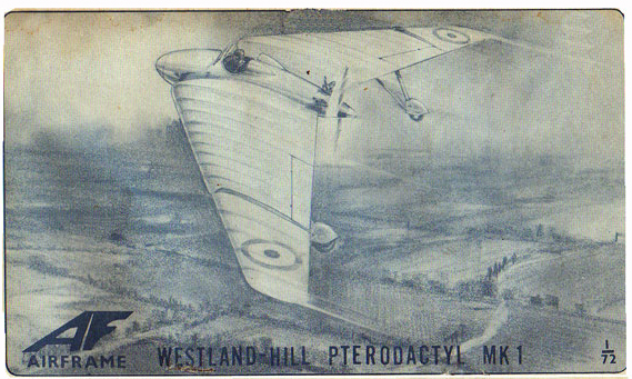 Airframe Westland-Hill Pterodactyl MK1 Bag Art