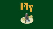 Fly Models Logo