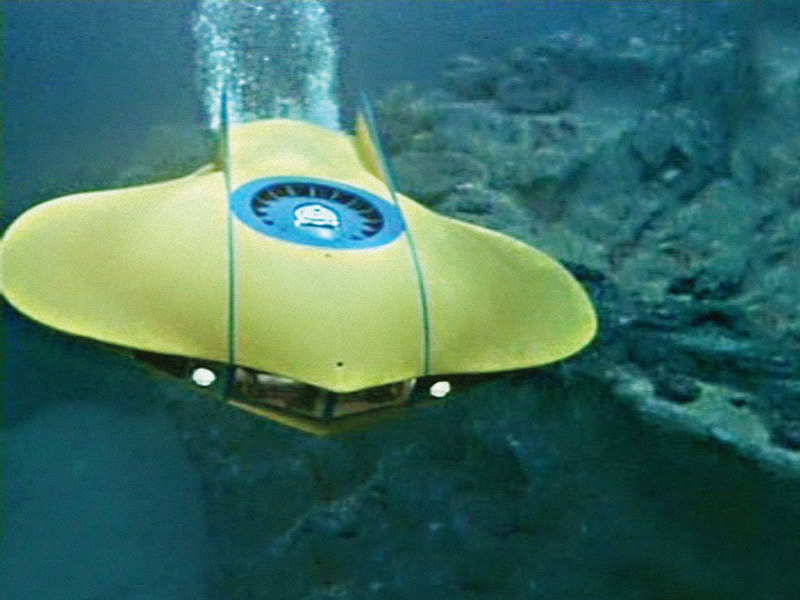 置物 the bottom of the sea 置物 the bottom of the sea 置物 the bottom of the sea 置物 the
