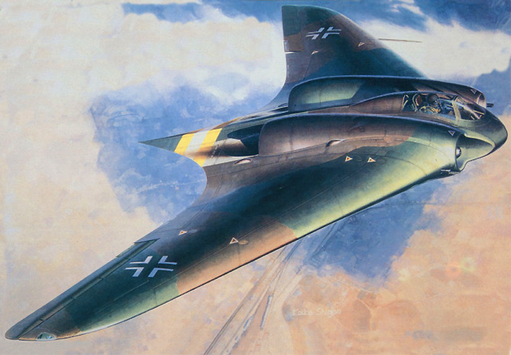 Horten Ho229A-1 Gotha Dragon Box Art