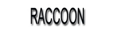 Raccoon Models Logo