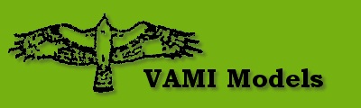 VAMI Models Logo